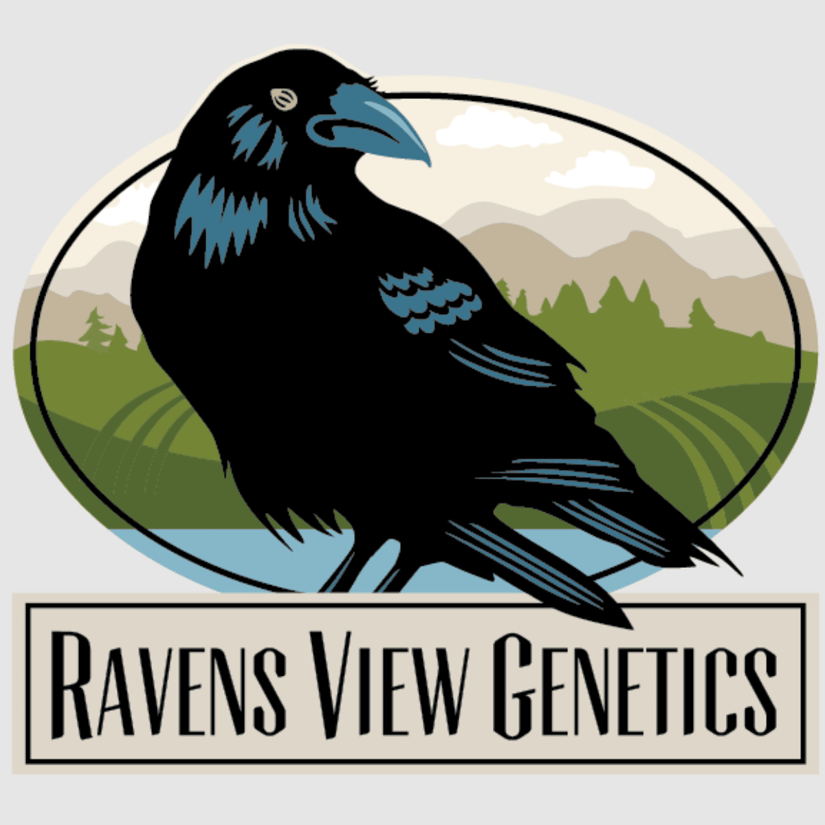 RVG